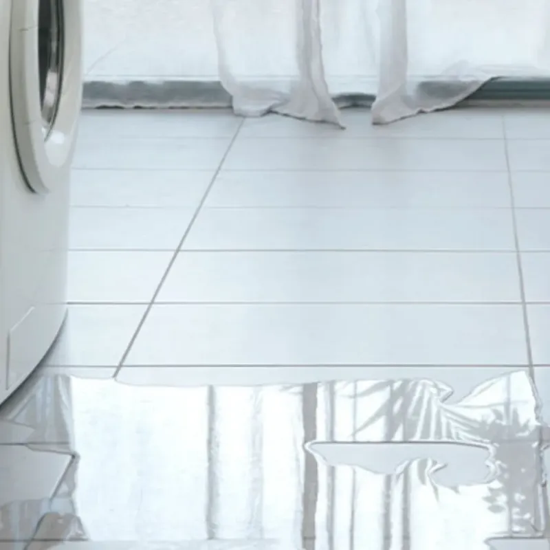 Appliance Leak Cleanup in Sullivan County, TN