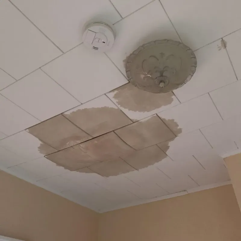 Ceiling Water Damage Repair in Sullivan County, TN