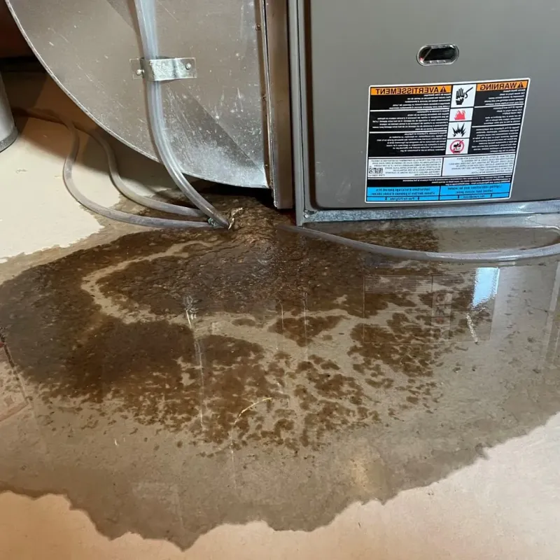 Pipe Burst and Leak Restoration in Sullivan County, TN