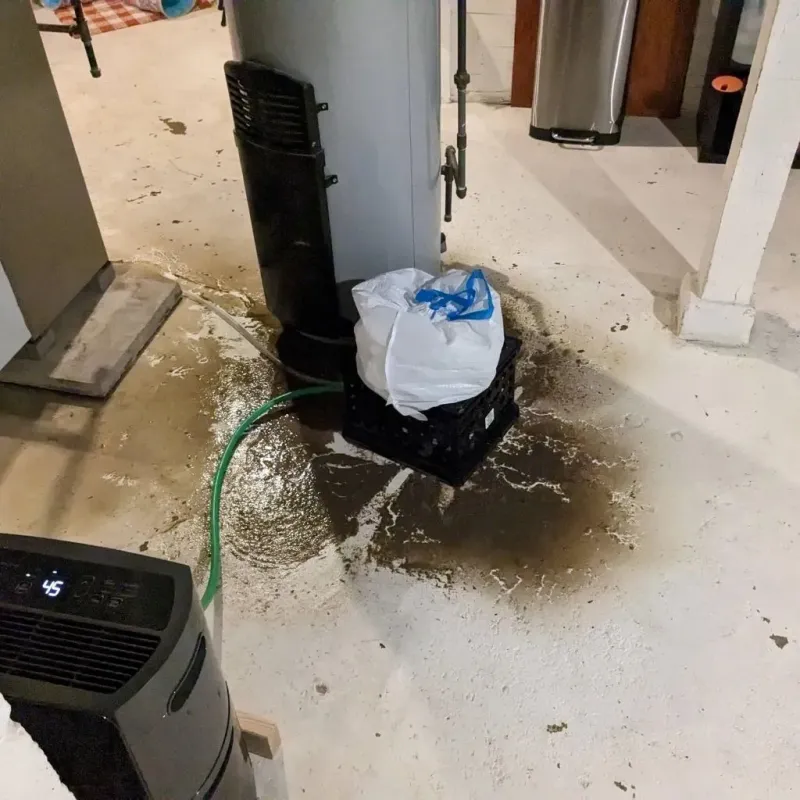 Sewage Backup Cleanup Service in Sullivan County, TN